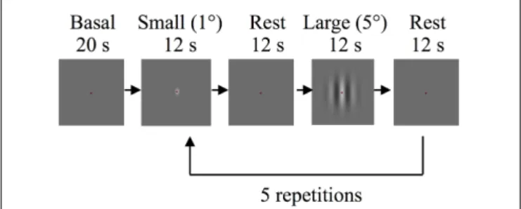 FIGURE 1 | Schematic depiction of the experimental procedure of the main functional magnetic resonance imaging (fMRI) experiment.