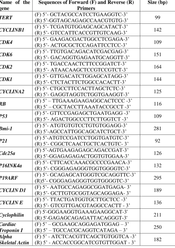 Table 3.8 List of Primers and the product sizes they amplify 