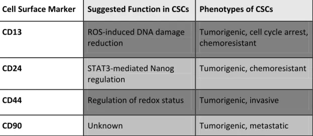Table 1.1 : Commonly used cancer stem cell markers for hepatocellular carcinoma 54 .  Cell Surface Marker  Suggested Function in CSCs  Phenotypes of CSCs 