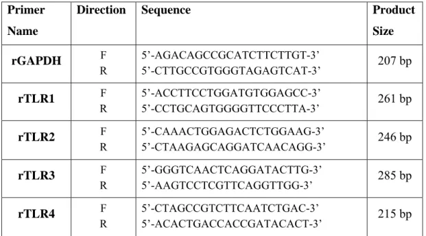 Table 3.2 - Rat* and mouse* primer set sequences and their expected product sizes 