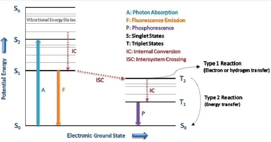 Figure 2. Modified Jablonski diagram for illustrating photosensitization processes 