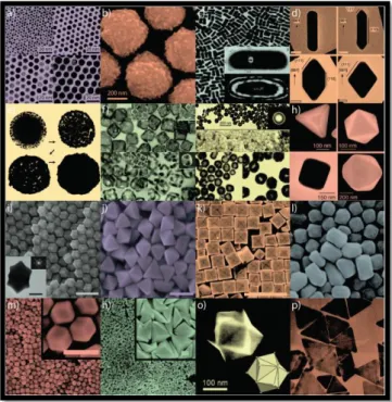 Figure 3. Gold nanoparticles with various size and shape. Copyright © 2011, Royal Society  of Chemistry