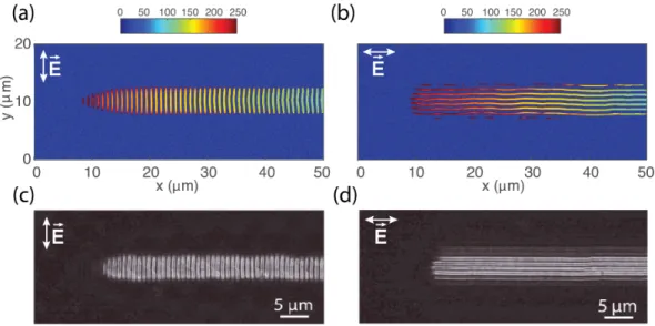 Figure 2.5: Simulation an experimental results of NLL. Laser beam is scanned starting from left hand side to right hand side