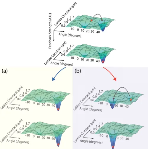 Figure 4.1: Feedback strength of each lattice with a given NLL feedback system configuration