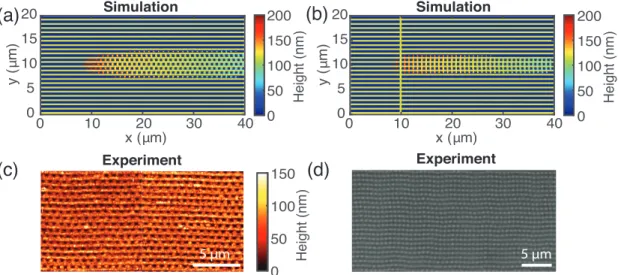 Fig. 1 (a) Surface pattern obtained by scanning the laser from (x,y) = (10,10) µm to (40,10) µm