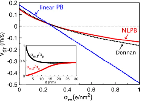 FIG. 2. Main plot: Drift velocity component v dr = −µ e  φ(a) − φ(d) E ver- ver-sus the membrane charge σ m obtained from the numerical solution of the non-linear PB (NLPB) Eq
