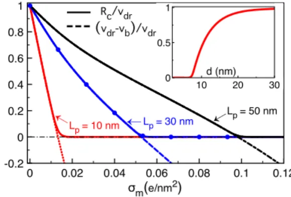 FIG. 4. Polymer translocation rate R c (solid curves) and polymer capture velocity v dr − v b = D(λ e − λ b ) (dashed curves) rescaled by the drift velocity v dr against the membrane charge σ m 