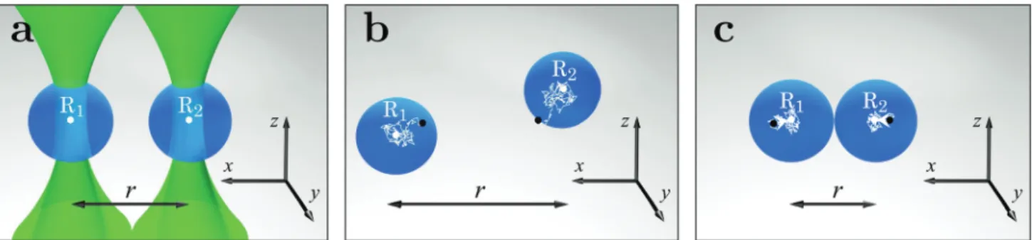 Fig. 1 Schematic presentation of the design of the experiment. (a) Two equal spherical silica colloids (blue spheres, diameter d = 2.06  0.05 mm) are optically trapped by two traps (green laser beams focused on the points R 0,1 and R 0,2 ) in the bulk of 