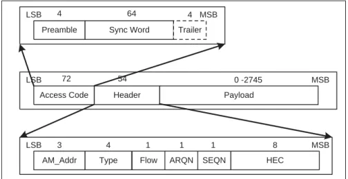 Figure 2.3: Data Packet Content