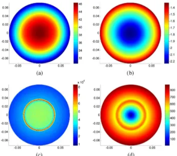 Fig. 4. Simulation results for the central axial slice of the first simulation phantom: (a) magnitude of , (b) phase of , (c) modulus of , (d) modulus of the convective field 
