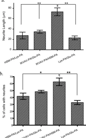Fig. 5. Combination of HS and laminin epitopes supports extension of much longer neurites