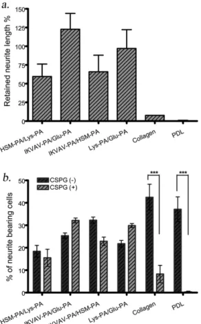 Fig. 8. PC-12 cells can extend neurites even in the presence of CSPGs when cultured on PA scaffolds