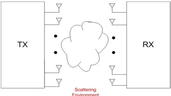 Figure 1.1: General MIMO system