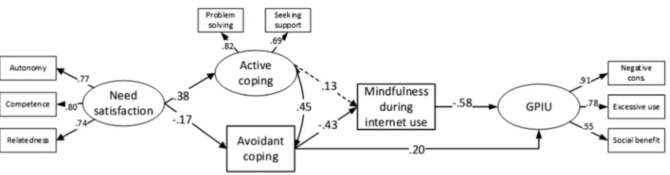 Figure 1. The tested model controlling for gender differences (not shown for sake of clarity)
