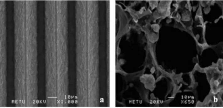 Figure 1. The SEM micrographs of 2D and 3D P(L/DL)LA- P(L/DL)LA-PHBV cell carriers. (a) Patterned ﬁlm (⫻1000) and (b) foam (⫻650).