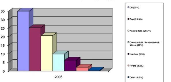 Figure 2 1: Fuel Shares of Total Primary Ene rgy Supply, 2005  