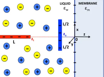 FIG. 2. Negatively charged polyelectrolyte of length L and linear charge density τ , with the total charge Q p = Lτ