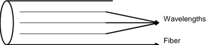 Figure 1.1: Structure of a fiber cable.