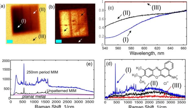 Figure 2-9. (a) Reflectance map (540–600 nm band) acquired using a 20× objective (NA 0.4)  on a 250 nm period structure with 200 nm MIM width