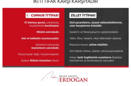 Figure 1. Recep Tayyip Erdoğan’s tweet (Data from Twitter) (2019) 