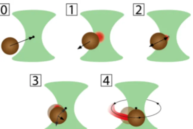 Fig. 2. Working principle of the microscopic critical engine. The critical engine works in several steps: (0) The microscopic particle is attracted  towards the center of the optical trap by optical forces (the green shade represents the focused optical be