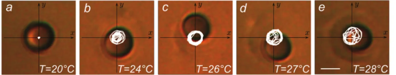 Fig. 2. Realization of a critical microscopic engine using an optically trapped colloidal particle, with radius R = 1,24 µm, immersed in a water- water-2,6-lutidine critical solution