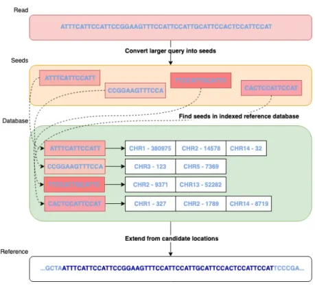 Figure 2.1: General seed-and-extend algorithm flow chart. First the larger query is broken down into seeds
