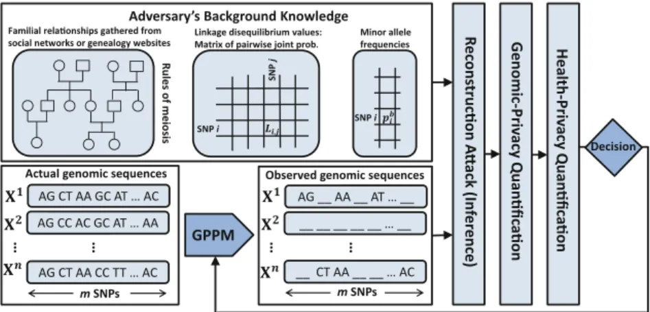 Fig. 1. Overview of the proposed framework to quantify kin genomic privacy. Each vector X i ( i ∈ {1, 