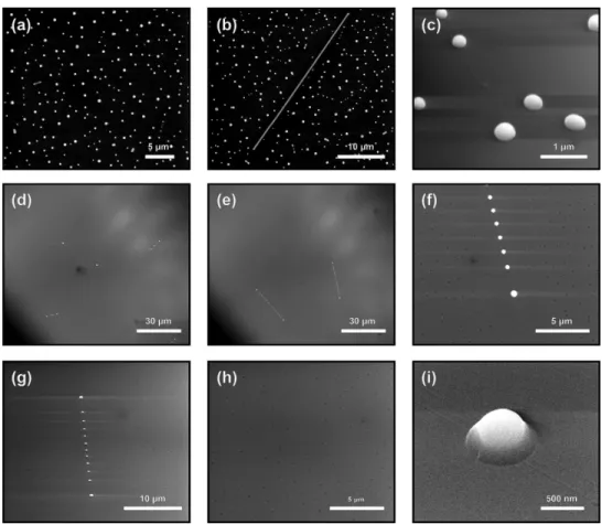Figure 2.7: Electron microscope pictures of the growths that has been stopped after 15 minutes into the ceasation of oxygen flow at 780 ◦ C