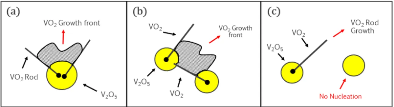 Figure 2.13: Schematics of proposed dynamics of different morphologies seen in VO 2 growth for temperatures between 750-830 ◦ C