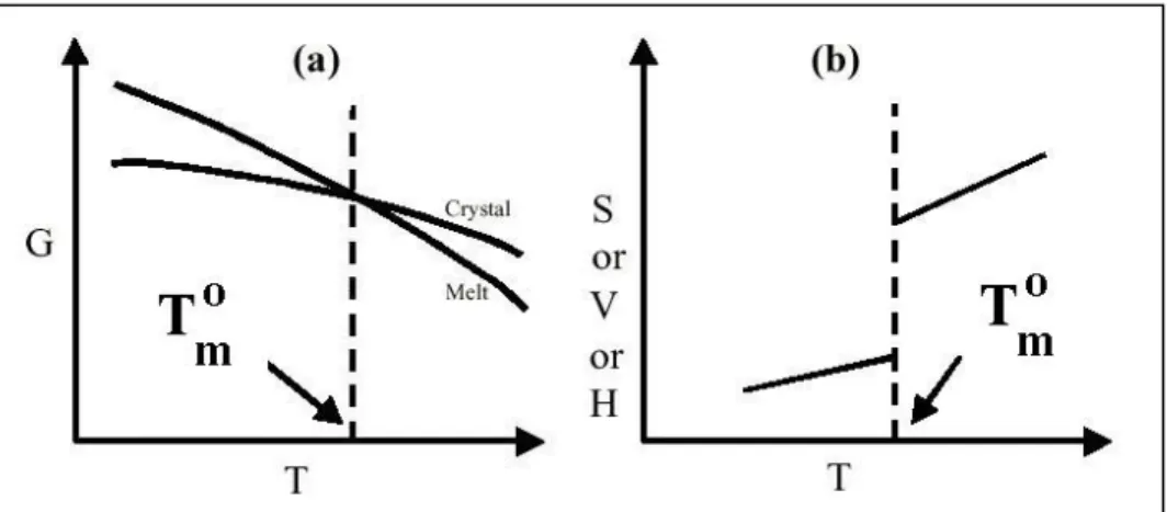 Figure 2.9 : General Behaviour of thermodynamic variables at the equilibrium melting     temperature T m ∞  (a)Gibbs free energy (b) Entropy, Volume and Enthalpy  40 