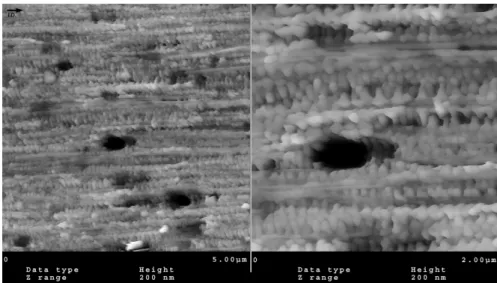 Figure 2.10 :AFM image of the shear region of iPB-1 processes by SCORIM. The injection  direction is identified with an arrow 34