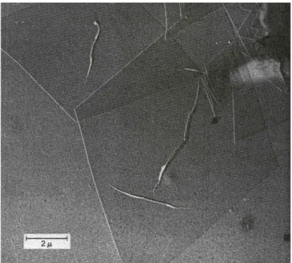 Figure 2.11 :Electron micrograph of linear polyethylene grown from a solution of  perchloroethylene 36
