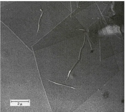 Figure 2.11 :Electron micrograph of linear polyethylene grown from a solution of  perchloroethylene 36