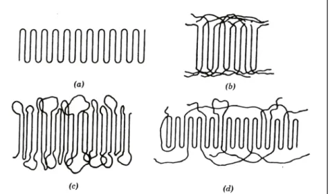 Figure 2.12 : Schematic two dimensional representations of models of the the fold surface   (a)sharp folds (b) “switchboard” model, (c) loose loops with adjacent reentry 