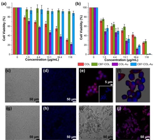 Figure 4. Relative cell viability (%) of MCF-7 cells treated with various concentrations of COL-NPs, CB7@COL-NPs, COL-Au-NPs, and CB7@