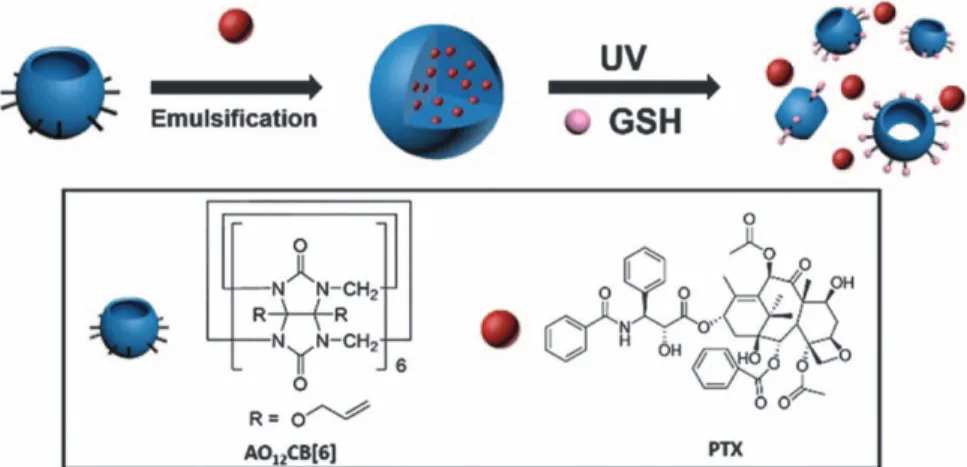 Figure 7.14 Schematic presentation of UVA- (sunlight)-triggered, GSH-responsive PTX-loaded nanoparticle prepared from AO 12 CB[6] and their chemical structures.