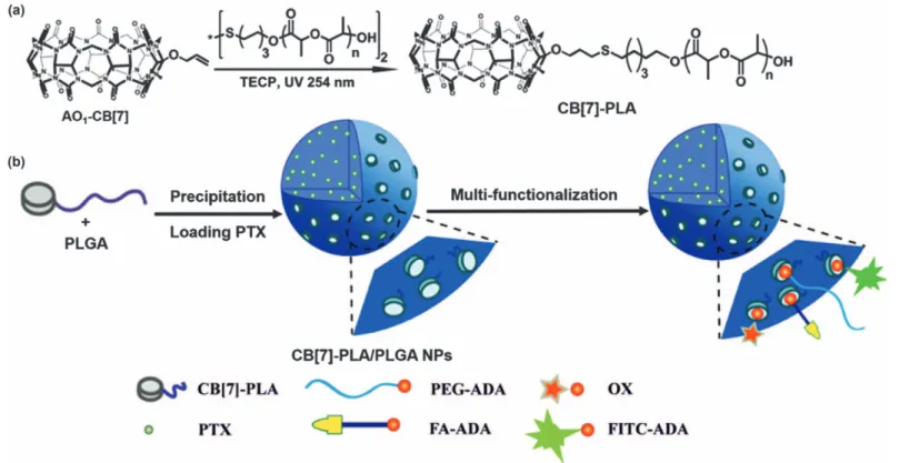 Figure 7.15 (a) Synthesis of CB[7]-PLA; (b) schematic presentation of CB[7]-PLA-based nanoparticle and the noncovalent surface modification of nanoparticles with a variety of functionalities.