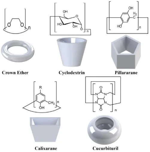 Figure 1.2: Chemical structures and 3D cartoon representations of important macrocyclic hosts.