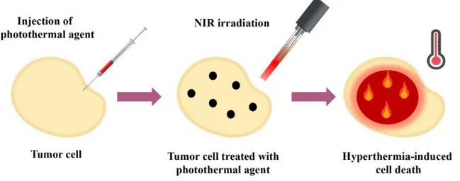 Figure 1.19: Photothermal cancer therapy.