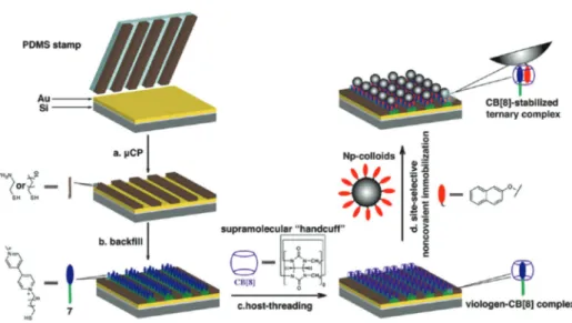 Fig. 13 Schematic representation of the site-selective non-covalent immobilization of Np-colloids on a micropatterned viologen-terminated Au substrate in the presence of CB8