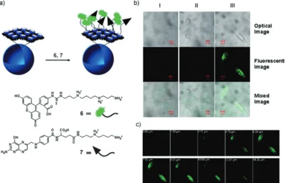 Fig. 15 Preparation of surface-decorated polymer nanocapsules and confocal microscopy images of the polymer nanocapsules incorporated into KB cells