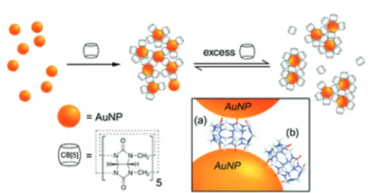 Fig. 1 The preparation of CB5-capped gold nanoparticles and the for- for-mation of dynamic aggregates consisting of a controllable ratio of singly- and doubly-capped CB5
