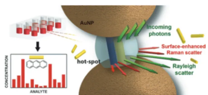 Fig. 2 Schematic of host –guest SERS analysis using ternary complexa- complexa-tion: the CB8 aggregates AuNPs and localizes the analyte in the  hot-spot for SERS analysis