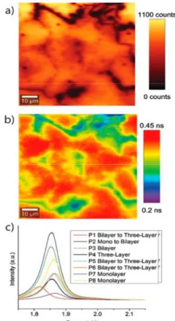 Figure 3 (a) Total PL intensity map, (b) fluorescence lifetime  map, (c) single point photoluminescence measurements