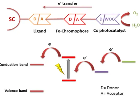Figure 1.11: Photoanode Donor-Acceptor system, SC is Semiconductor, ligand is either phenanthroline or bipyridine.