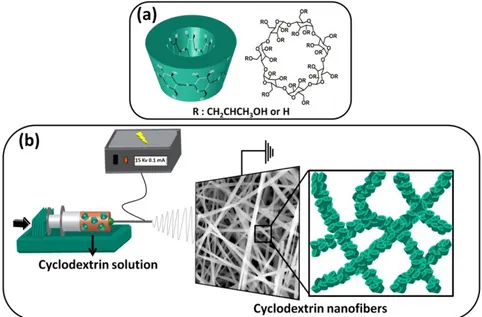 Figure 9. (a) Schematic view and chemical structure of modified CD. (b) Schematic  representation of the electrospinning of the modified CD nanofibers