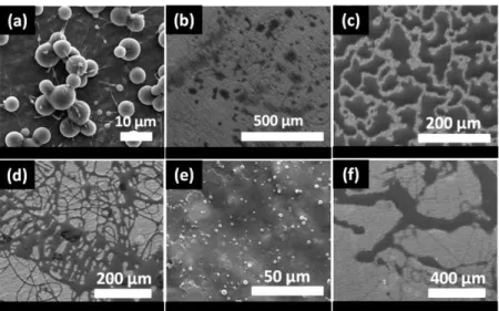 Figure  16.  The representative SEM images of the splashed area that were obtained  as  a  result  of  adding  20%  (w/w)  urea  to  CD  solutions