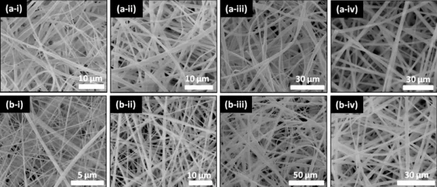 Figure  23.  The  representative  SEM  images  of  (a)  aniline  and  (b)  benzene  exposed   (i)  HPβCD/water-NF,  (ii)  HPβCD/DMF-NF,  (iii)  HPγCD/water-NF,  (iv)  HPγCD/DMF-NF after entrapment test