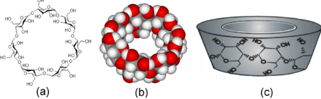 Fig. 1. (a) Chemical structure of ␤-CD, (b) 3-D structure of ␤-CD (c) schematic representation of toroid-shaped molecular structure of ␤-CD.